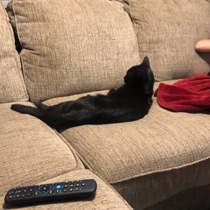 Meet your Posher, Katherine